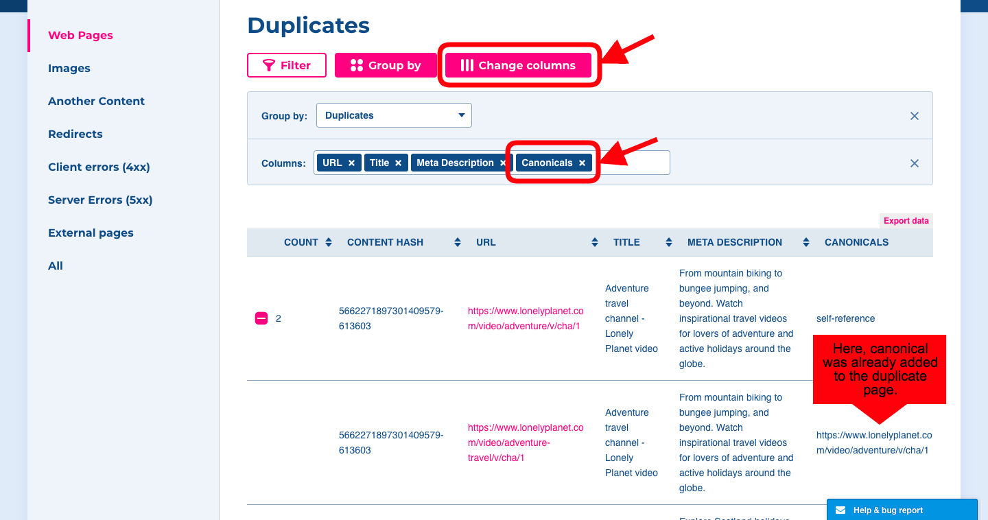 Use of canonical on duplicate pages